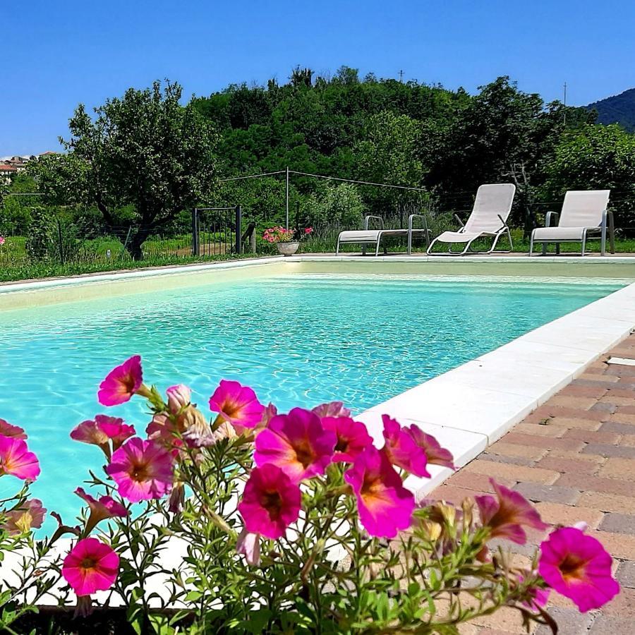Agriturismo "Veritas" Bed & Wine Casaleggio Boiro Экстерьер фото