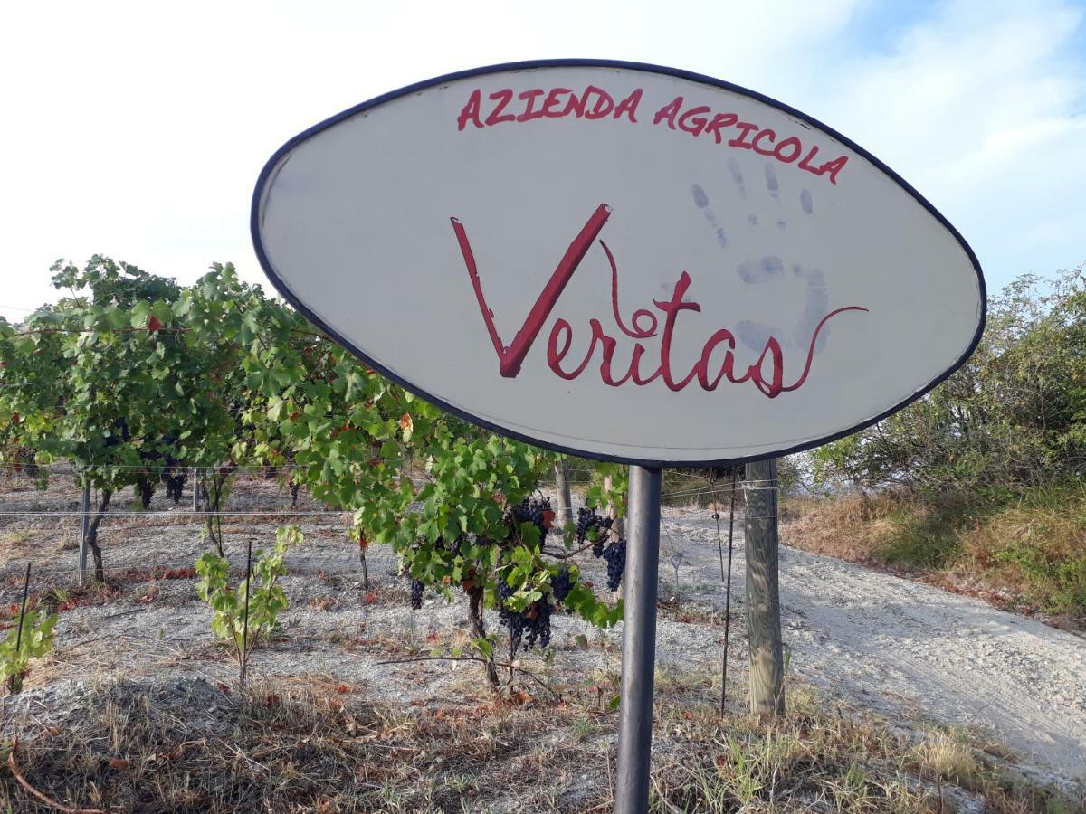 Agriturismo "Veritas" Bed & Wine Casaleggio Boiro Экстерьер фото