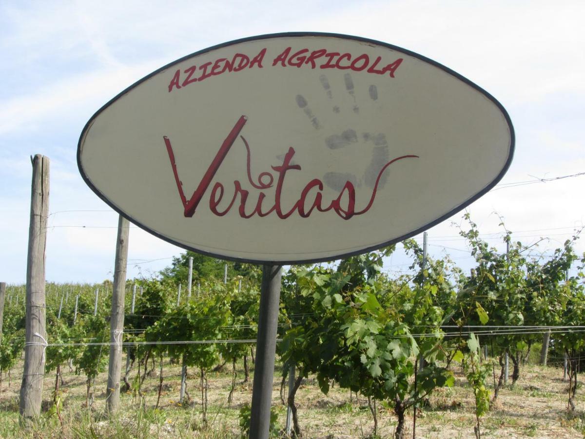 Agriturismo "Veritas" Bed & Wine Casaleggio Boiro Экстерьер фото